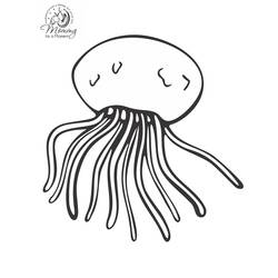 Dibujo para colorear: Medusa (Animales) #20568 - Dibujos para Colorear e Imprimir Gratis