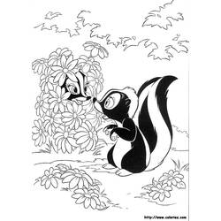 Dibujo para colorear: Mofeta (Animales) #11295 - Dibujos para Colorear e Imprimir Gratis
