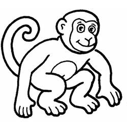 Dibujo para colorear: Mono (Animales) #14144 - Dibujos para Colorear e Imprimir Gratis