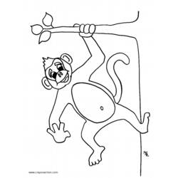 Dibujo para colorear: Mono (Animales) #14155 - Dibujos para Colorear e Imprimir Gratis