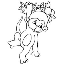 Dibujo para colorear: Mono (Animales) #14203 - Dibujos para Colorear e Imprimir Gratis