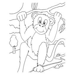 Dibujo para colorear: Mono (Animales) #14252 - Dibujos para Colorear e Imprimir Gratis