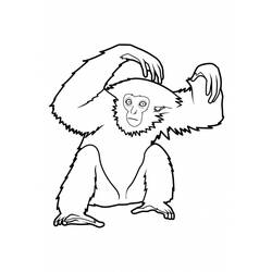 Dibujo para colorear: Mono (Animales) #14261 - Dibujos para Colorear e Imprimir Gratis