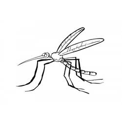 Dibujo para colorear: Mosquito (Animales) #11322 - Dibujos para Colorear e Imprimir Gratis