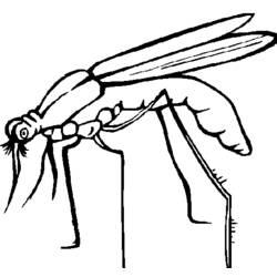Dibujo para colorear: Mosquito (Animales) #11324 - Dibujos para Colorear e Imprimir Gratis