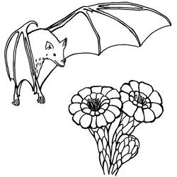 Dibujo para colorear: Muerciélago (Animales) #2031 - Dibujos para Colorear e Imprimir Gratis