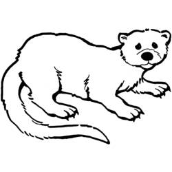 Dibujo para colorear: Nutria (Animales) #10653 - Dibujos para Colorear e Imprimir Gratis