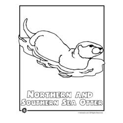 Dibujo para colorear: Nutria (Animales) #10674 - Dibujos para Colorear e Imprimir Gratis