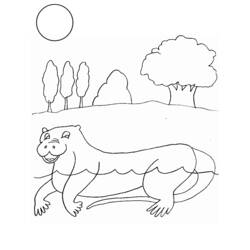 Dibujo para colorear: Nutria (Animales) #10718 - Dibujos para Colorear e Imprimir Gratis