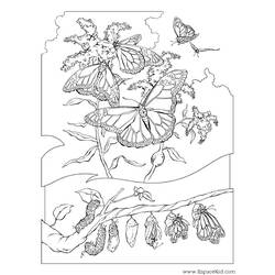 Dibujo para colorear: Oruga (Animales) #18327 - Dibujos para Colorear e Imprimir Gratis