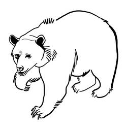 Dibujo para colorear: Oso (Animales) #12240 - Dibujos para Colorear e Imprimir Gratis