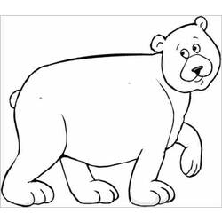 Dibujo para colorear: Oso (Animales) #12279 - Dibujos para Colorear e Imprimir Gratis