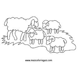 Dibujo para colorear: Oveja (Animales) #11414 - Dibujos para Colorear e Imprimir Gratis