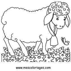 Dibujo para colorear: Oveja (Animales) #11429 - Dibujos para Colorear e Imprimir Gratis