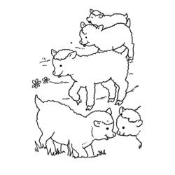 Dibujo para colorear: Oveja (Animales) #11431 - Dibujos para Colorear e Imprimir Gratis