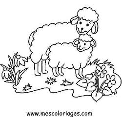 Dibujo para colorear: Oveja (Animales) #11436 - Dibujos para Colorear e Imprimir Gratis