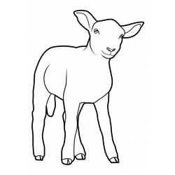 Dibujo para colorear: Oveja (Animales) #11502 - Dibujos para Colorear e Imprimir Gratis