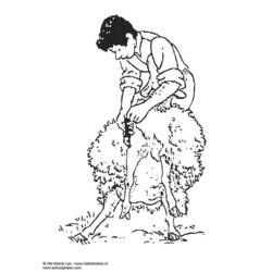 Dibujo para colorear: Oveja (Animales) #11511 - Dibujos para Colorear e Imprimir Gratis