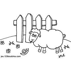 Dibujo para colorear: Oveja (Animales) #11539 - Dibujos para Colorear e Imprimir Gratis