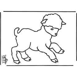 Dibujo para colorear: Oveja (Animales) #11559 - Dibujos para Colorear e Imprimir Gratis