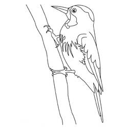 Dibujo para colorear: Pájaro carpintero (Animales) #16680 - Dibujos para Colorear e Imprimir Gratis