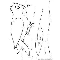Dibujo para colorear: Pájaro carpintero (Animales) #16721 - Dibujos para Colorear e Imprimir Gratis