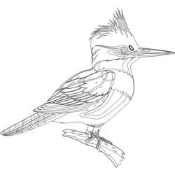 Dibujo para colorear: Pájaro carpintero (Animales) #16747 - Dibujos para Colorear e Imprimir Gratis