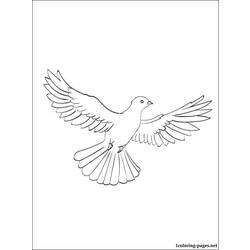 Dibujo para colorear: Paloma (Animales) #4008 - Dibujos para Colorear e Imprimir Gratis
