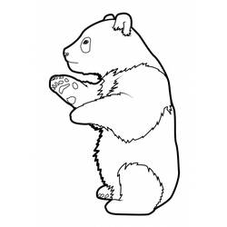 Dibujo para colorear: Panda (Animales) #12449 - Dibujos para Colorear e Imprimir Gratis