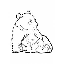 Dibujo para colorear: Panda (Animales) #12454 - Dibujos para Colorear e Imprimir Gratis