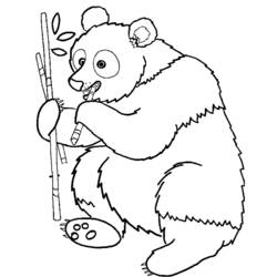 Dibujo para colorear: Panda (Animales) #12463 - Dibujos para Colorear e Imprimir Gratis