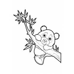 Dibujo para colorear: Panda (Animales) #12476 - Dibujos para Colorear e Imprimir Gratis