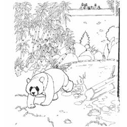 Dibujo para colorear: Panda (Animales) #12486 - Dibujos para Colorear e Imprimir Gratis