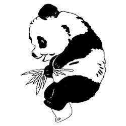 Dibujo para colorear: Panda (Animales) #12499 - Dibujos para Colorear e Imprimir Gratis