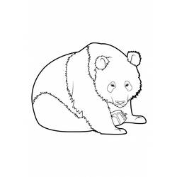 Dibujo para colorear: Panda (Animales) #12509 - Dibujos para Colorear e Imprimir Gratis