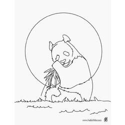 Dibujo para colorear: Panda (Animales) #12584 - Dibujos para Colorear e Imprimir Gratis
