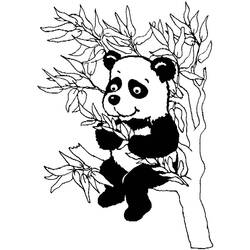 Dibujo para colorear: Panda (Animales) #12610 - Dibujos para Colorear e Imprimir Gratis