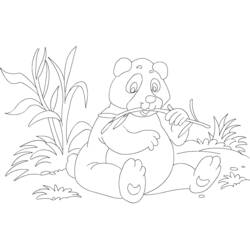 Dibujo para colorear: Panda (Animales) #12636 - Dibujos para Colorear e Imprimir Gratis