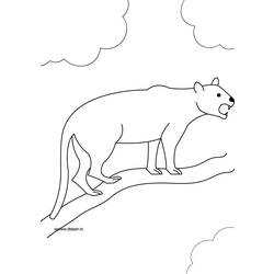 Dibujo para colorear: Pantera (Animales) #15525 - Dibujos para Colorear e Imprimir Gratis