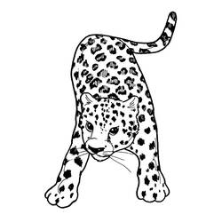 Dibujo para colorear: Pantera (Animales) #15529 - Dibujos para Colorear e Imprimir Gratis