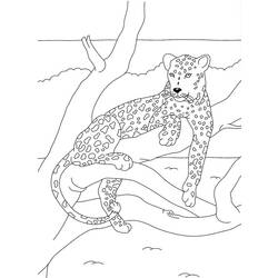 Dibujo para colorear: Pantera (Animales) #15557 - Dibujos para Colorear e Imprimir Gratis