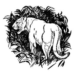 Dibujo para colorear: Pantera (Animales) #15590 - Dibujos para Colorear e Imprimir Gratis