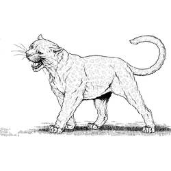 Dibujo para colorear: Pantera (Animales) #15596 - Dibujos para Colorear e Imprimir Gratis