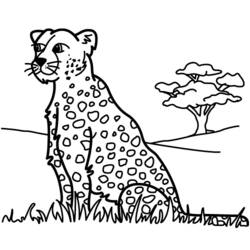 Dibujo para colorear: Pantera (Animales) #15600 - Dibujos para Colorear e Imprimir Gratis