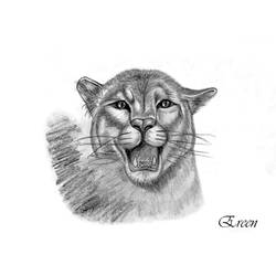 Dibujo para colorear: Pantera (Animales) #15650 - Dibujos para Colorear e Imprimir Gratis