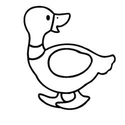 Dibujo para colorear: Pato (Animales) #1447 - Dibujos para Colorear e Imprimir Gratis