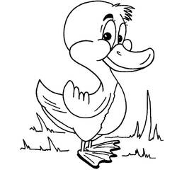 Dibujo para colorear: Pato (Animales) #1457 - Dibujos para Colorear e Imprimir Gratis