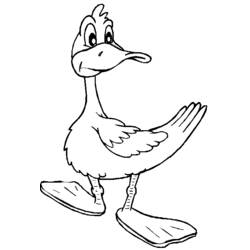 Dibujo para colorear: Pato (Animales) #1460 - Dibujos para Colorear e Imprimir Gratis