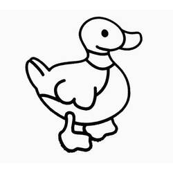 Dibujo para colorear: Pato (Animales) #1464 - Dibujos para Colorear e Imprimir Gratis