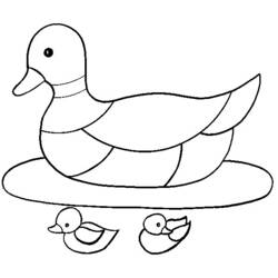 Dibujo para colorear: Pato (Animales) #1477 - Dibujos para Colorear e Imprimir Gratis